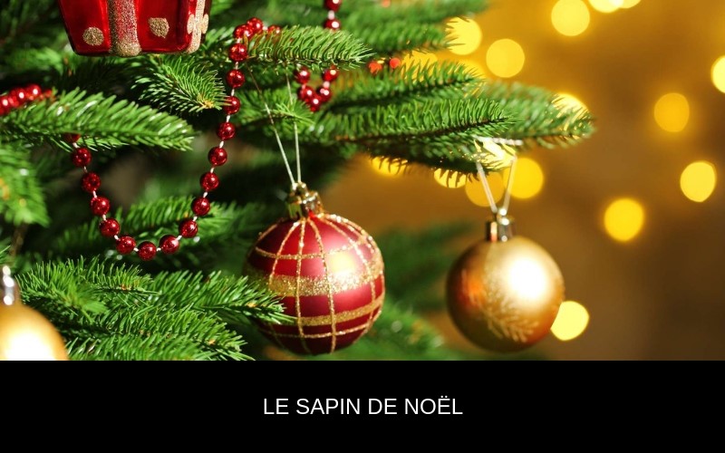 Noël et son beau sapin - Nappilla